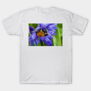 Bumbling along and hanging on T-Shirt